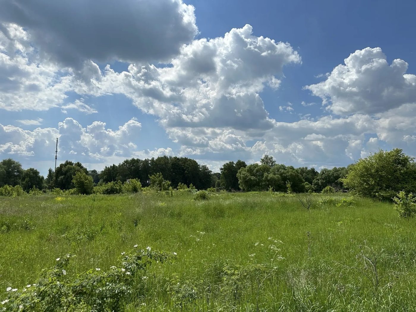 Продажа участка 12 сот. под ЛПХ — Московская область (0060306:1478)