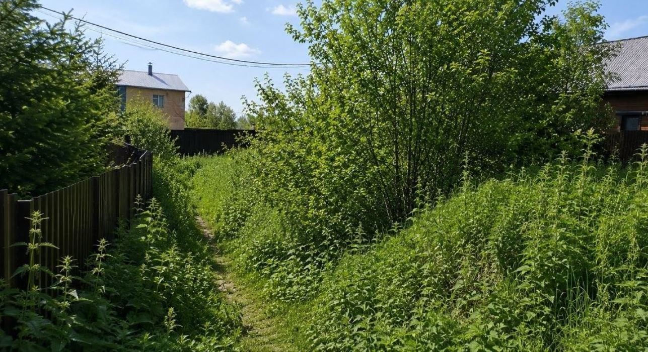 Аренда участка 6,74 сот. под ЛПХ — Московская область