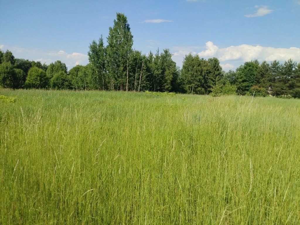 Аренда участка 12,19 сот. под ЛПХ — Московская область