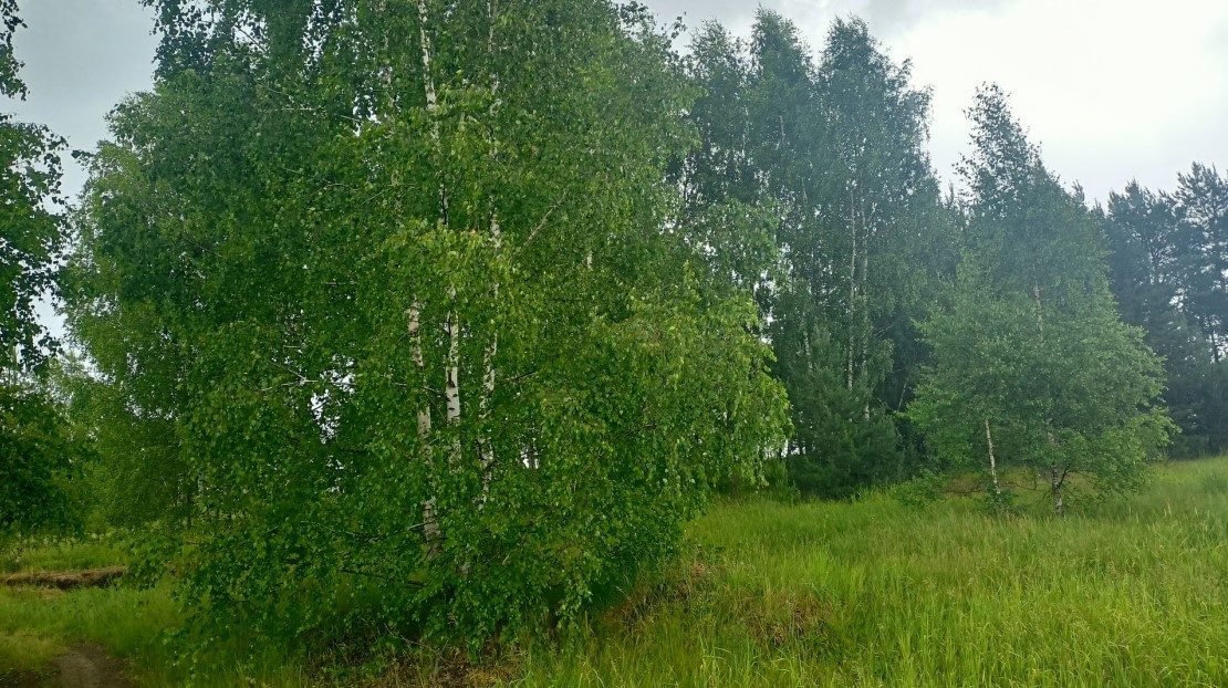 Аренда участка 13,03 сот. под ИЖС — Московская область