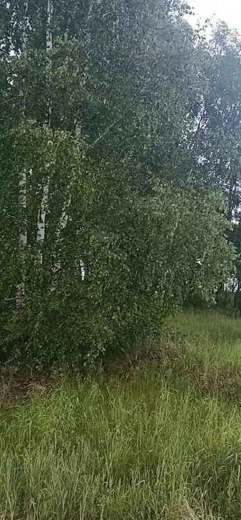 Аренда участка 17,04 сот. под ИЖС — Московская область
