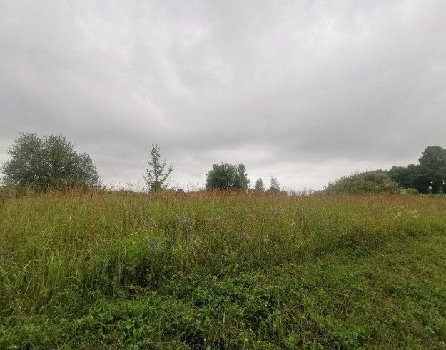 Аренда участка 4 сот. под дорожный сервис — обл. Москов