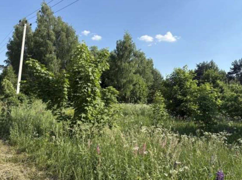 Аренда участка 11,45 сот. под ЛПХ — Московская область, лот 1