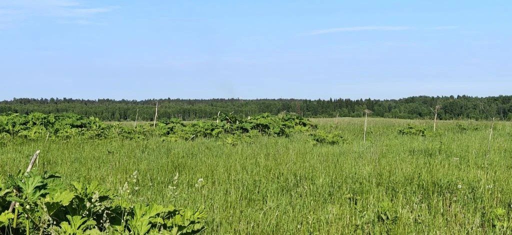 Аренда участка 15,15 сот. под ИЖС — Московская область