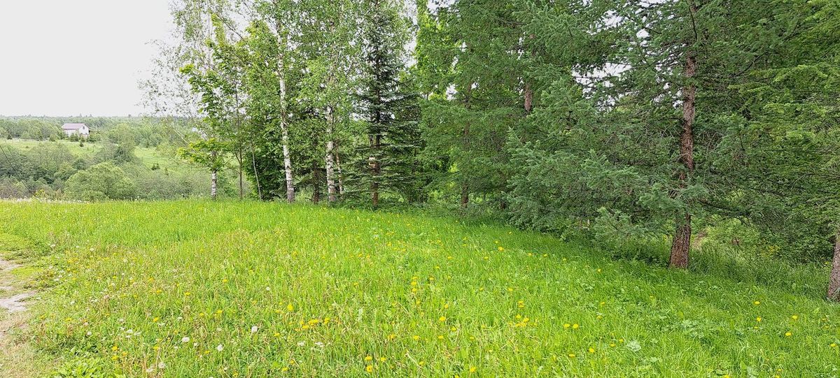 Аренда участка 10,23 сот. под ЛПХ — Московская область