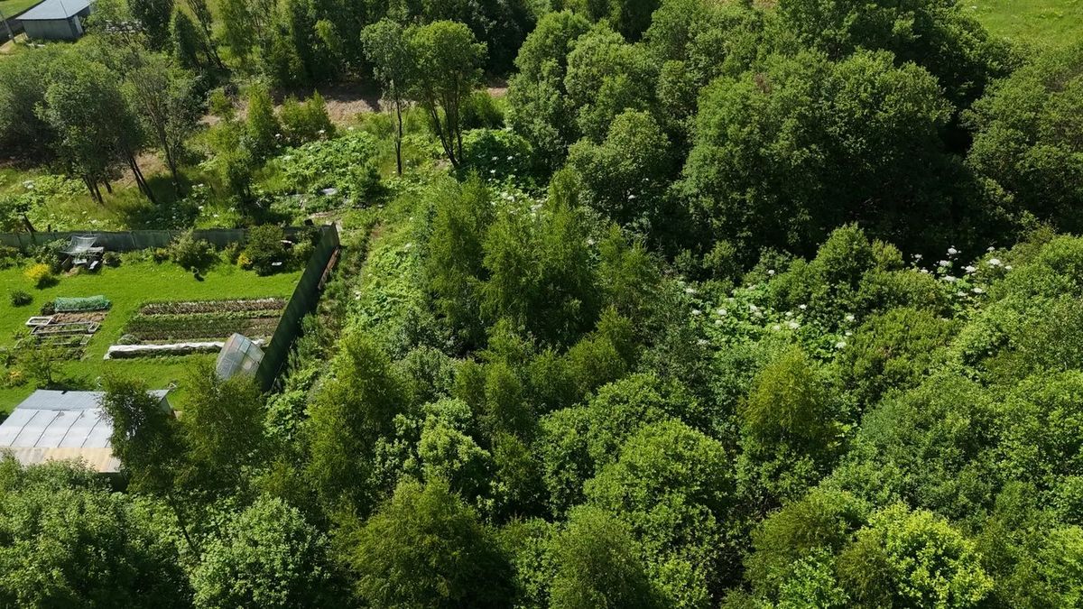 Аренда участка 6,61 сот. под ИЖС — Московская область