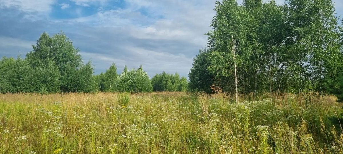 Аренда участка 11,98 сот. под ИЖС — Московская область, лот 1