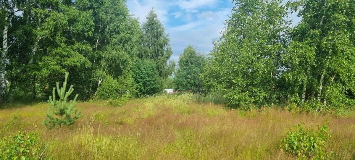 Аренда участка 12 сот. под ИЖС — Московская область