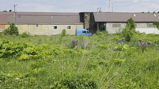 Аренда участка 11,43 сот. под ЛПХ — Московская область