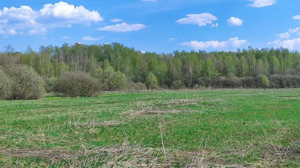 Продажа участка 14,2 сот. под ЛПХ — Московская область