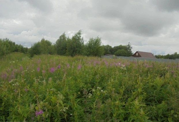 Аренда участка 12,8 сот. под ЛПХ — Московская область