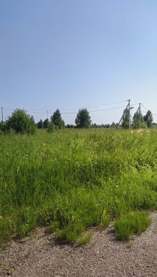 Аренда участка 12,2 сот. под ЛПХ — Московская область (0010301:381)
