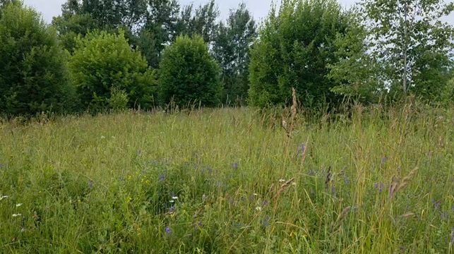 Аренда участка 12,31 сот. под ЛПХ — Московская область