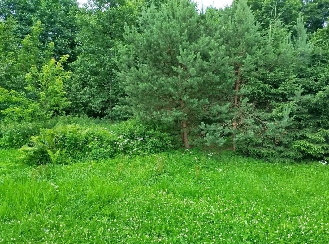 Аренда участка 8 сот. под ЛПХ — Московская область