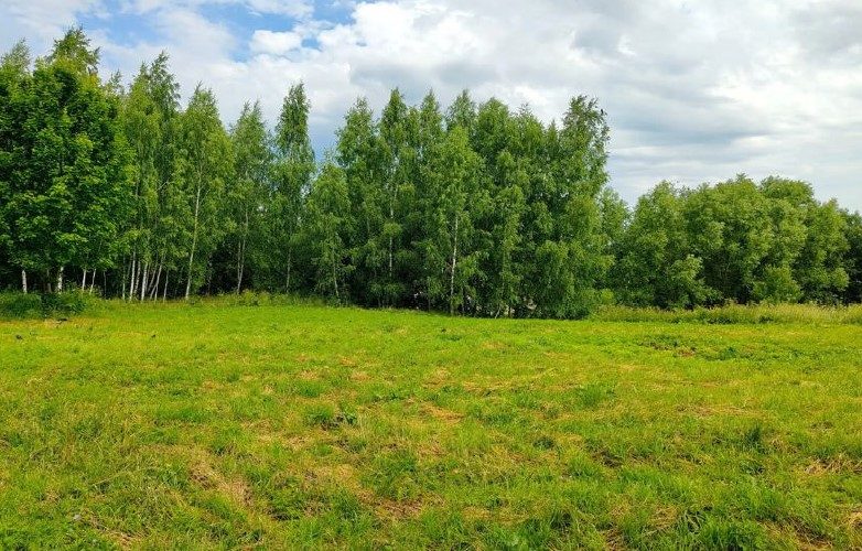 Продажа участка 11 сот. под ЛПХ — Московская область