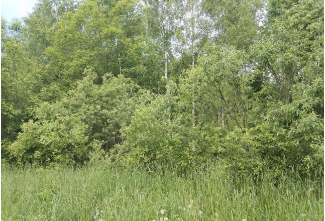 Продажа участка 12,93 сот. под ИЖС — Московская область