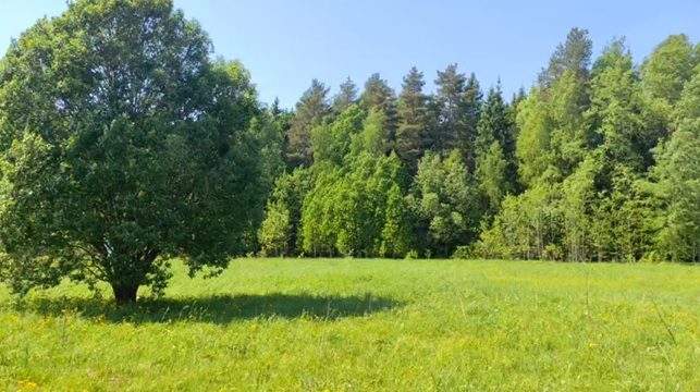 Аренда участка 16,18 сот. под ИЖС — Московская область
