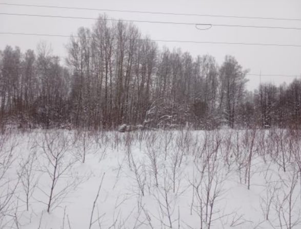 Аренда участка 2,03 га под сельхоз — Московская область