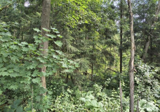 Продажа участка 6,72 сот. под ИЖС — Московская область