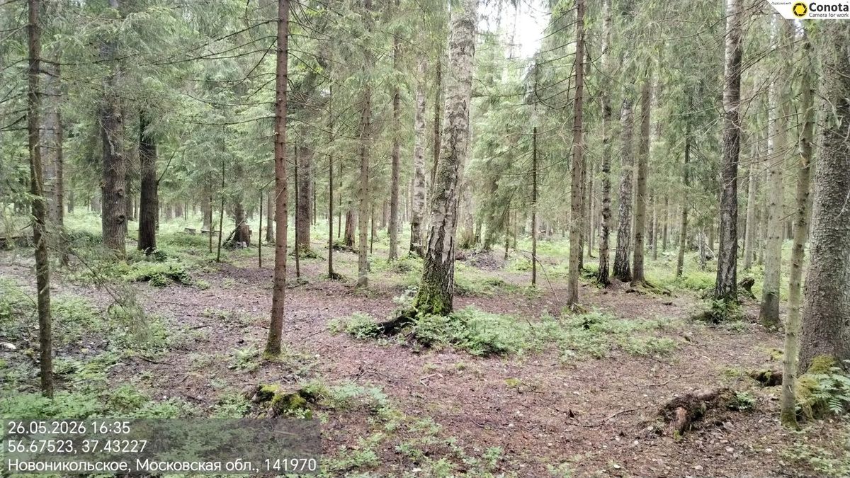 Аренда участка 6,1 га под рекреацию — обл. Московская