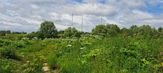 Аренда участка 1,27 га под производство, лот 1