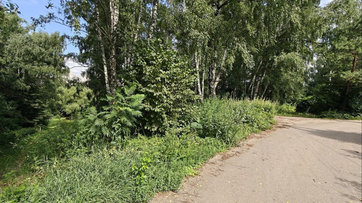 Продажа участка 4,92 сот. под ИЖС — Московская область