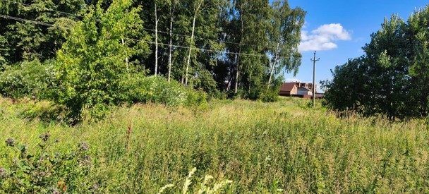 Аренда участка 11,14 сот. под ЛПХ — Московская область, лот 1