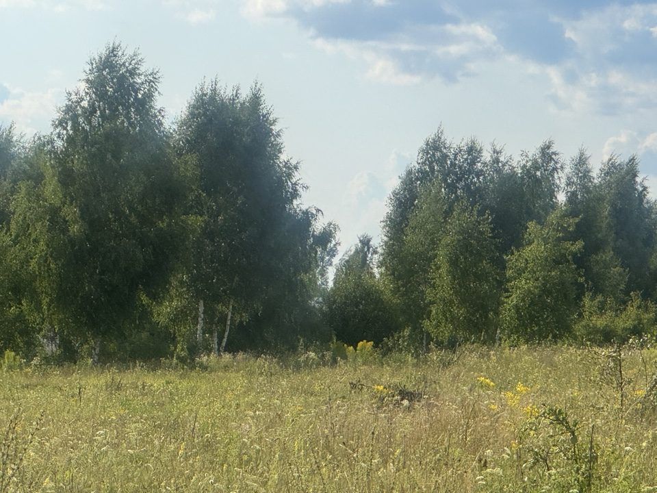 Аренда участка 10 сот. под ЛПХ — Московская область
