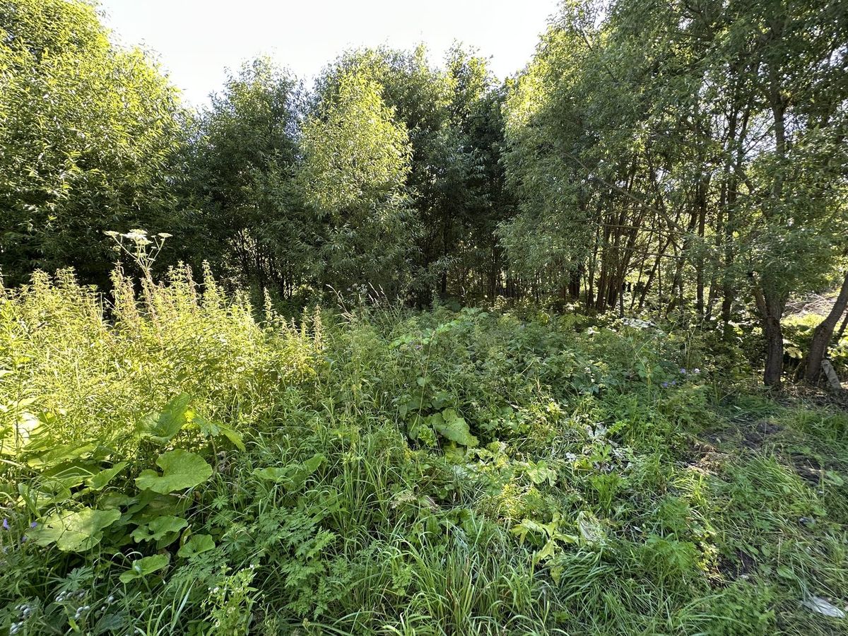 Продажа участка 5,6 сот. под ЛПХ — Московская область