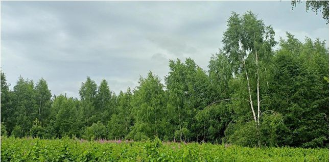 Продажа участка 19,19 сот. под ЛПХ — Московская область
