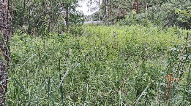 Аренда участка 15 сот. под садоводство