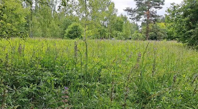 Продажа участка 15 сот. под садоводство, лот 1