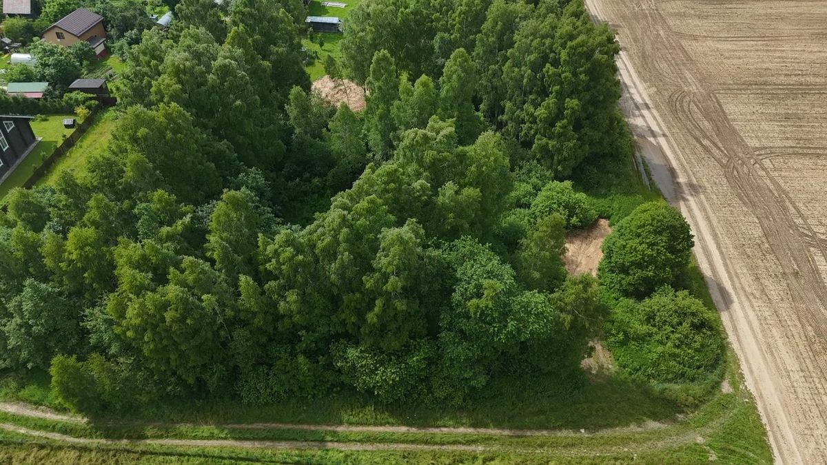 Аренда участка 20 сот. под ИЖС — Московская область, лот 1