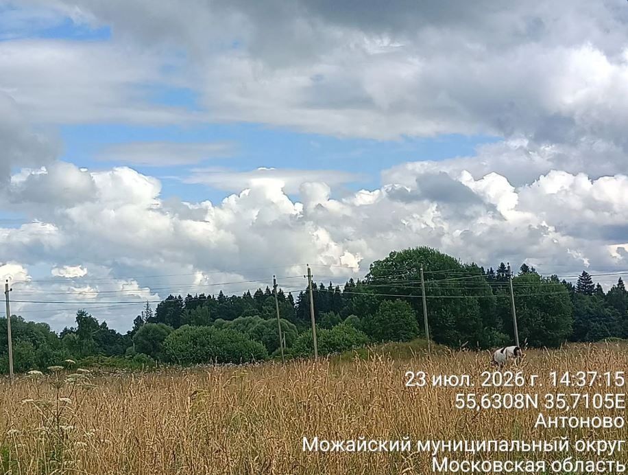 Аренда участка 9,82 сот. под ЛПХ — Московская область, лот 1
