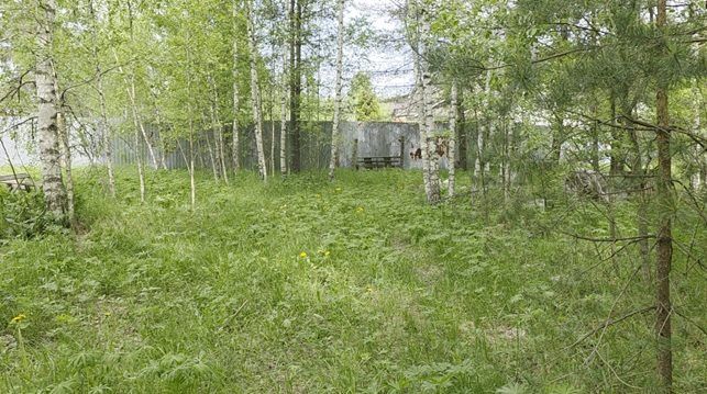Продажа участка 15 сот. под садоводство (0010513:498)