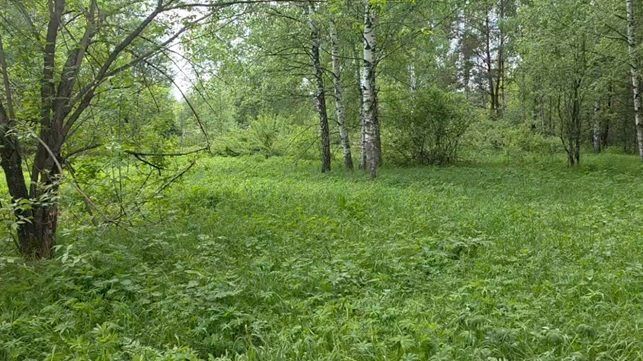 Продажа участка 15 сот. под садоводство (0010513:499)