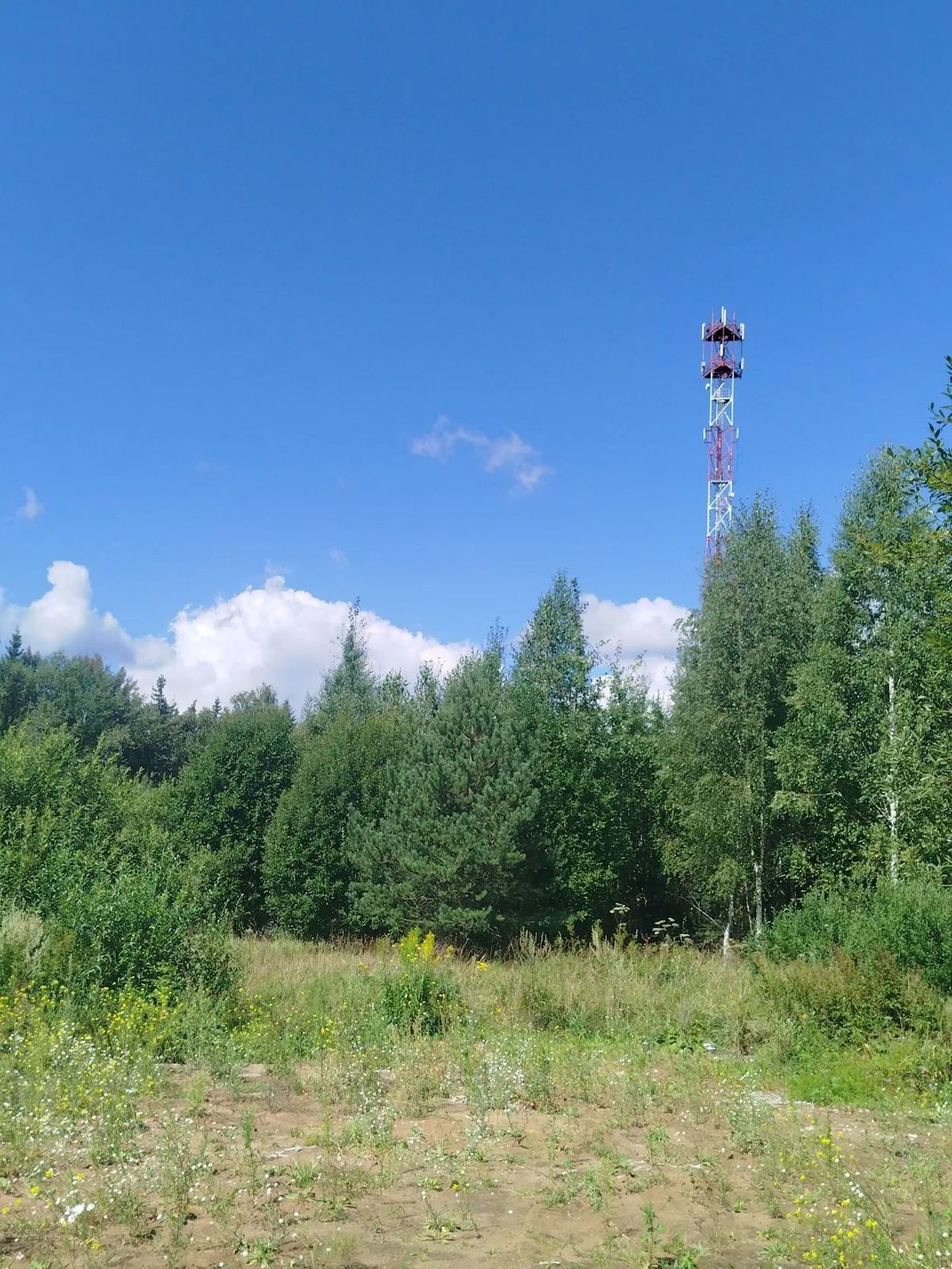 Аренда участка 12,3 сот. под ЛПХ — Московская область