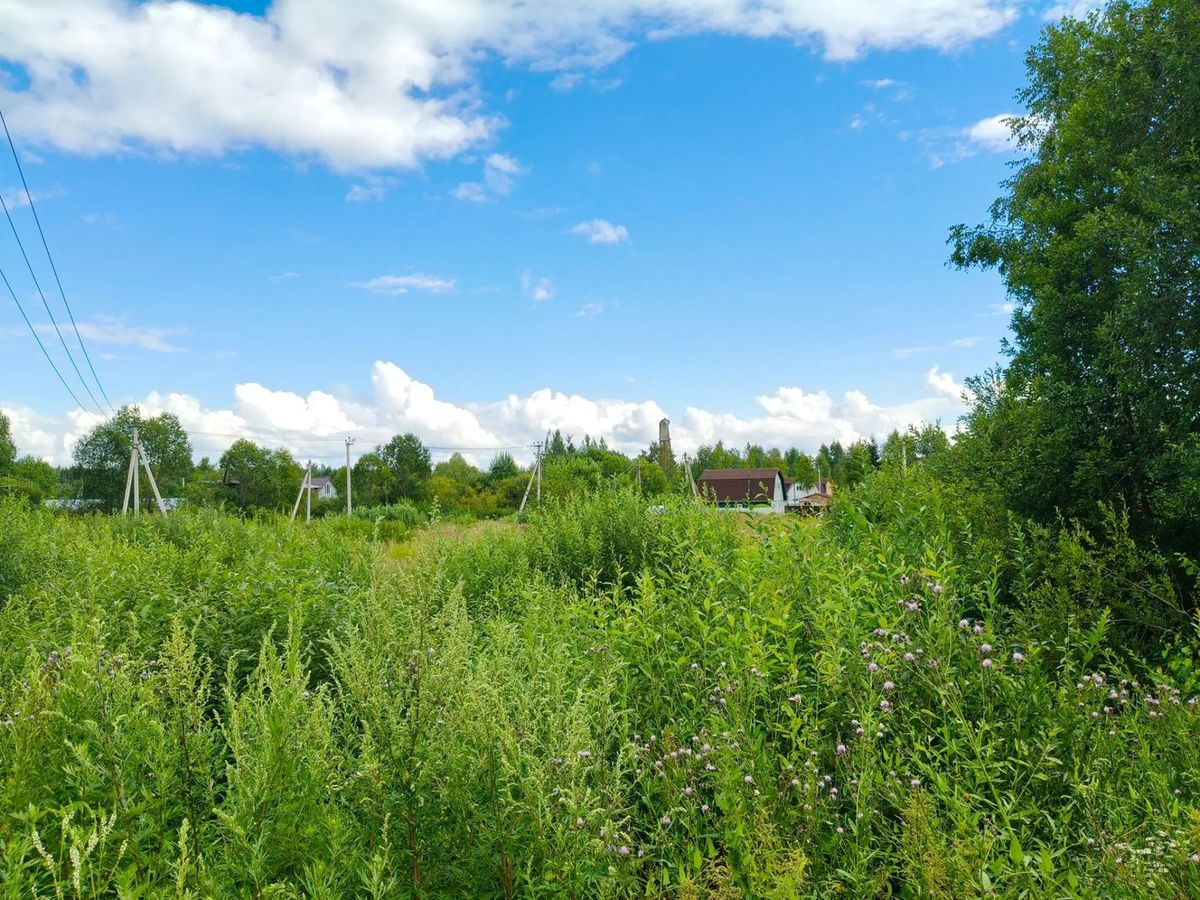 Продажа участка 20 сот. под ЛПХ — Московская область, лот 1
