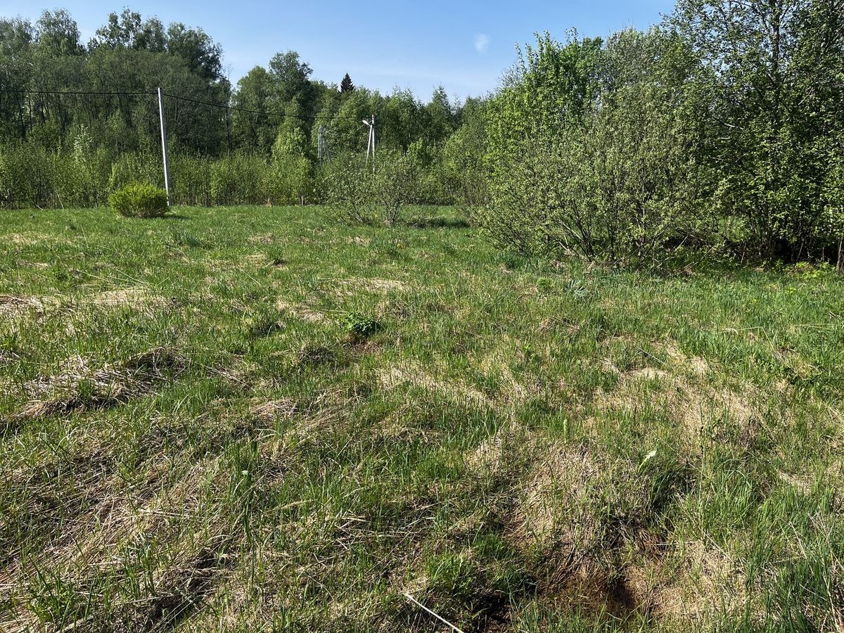 Продажа участка 10,08 сот. под садоводство