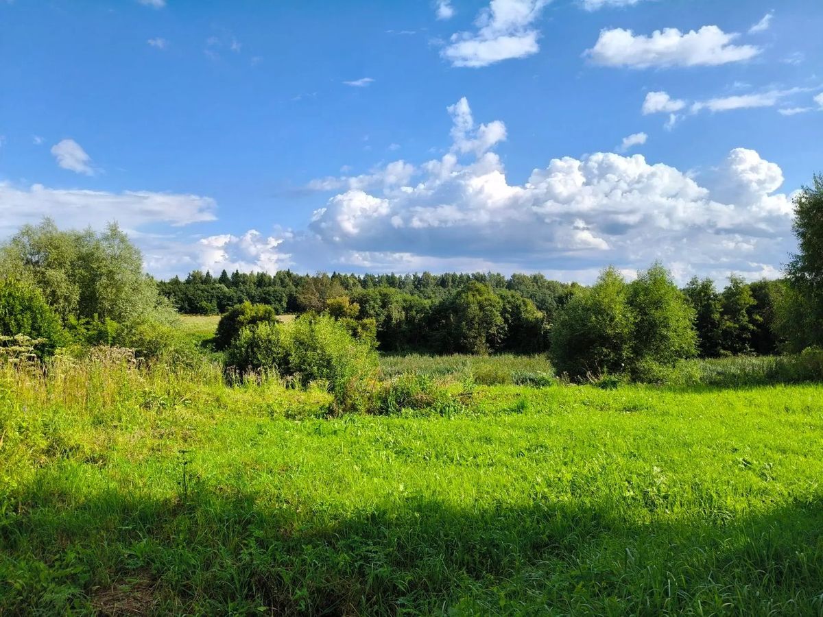 Продажа участка 4 сот. под ЛПХ — Московская область, лот 1