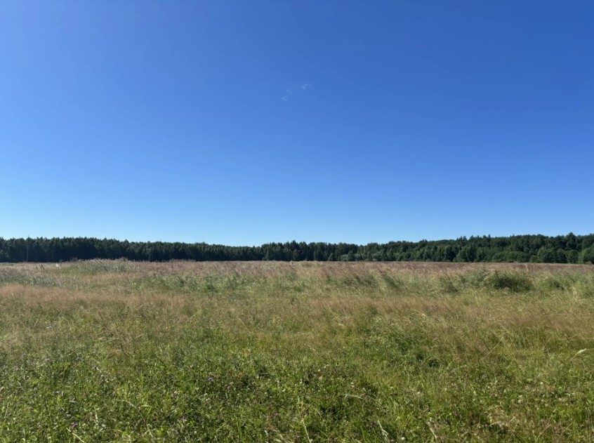 Аренда участка 14,99 сот. под ИЖС — Московская область (0000000:71444)