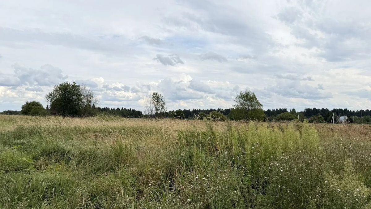 Продажа участка 10 сот. под ИЖС — Московская область (0090215:1034)