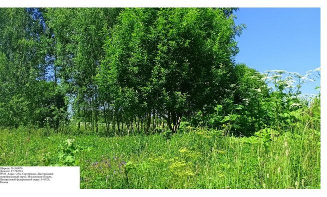 Продажа участка 25,07 сот. под ЛПХ — Московская область