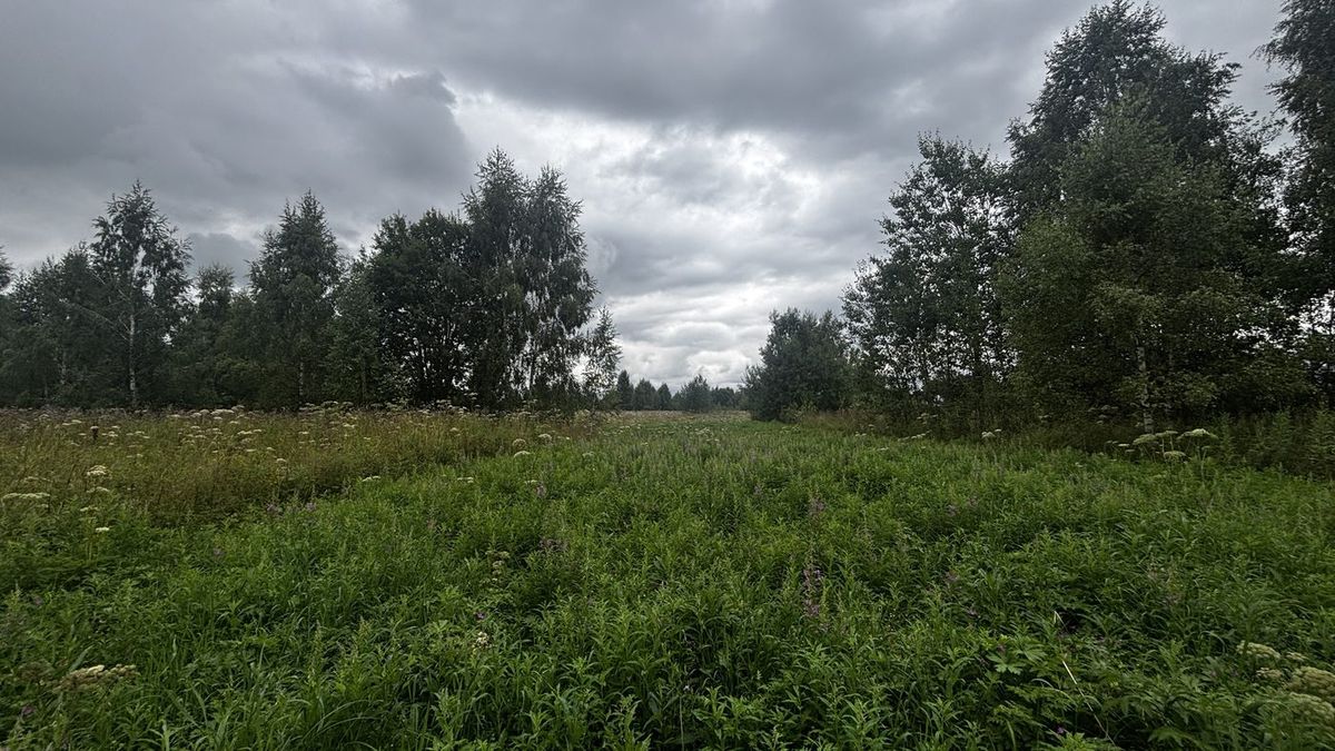 Продажа участка 15,45 сот. под ЛПХ — Московская область