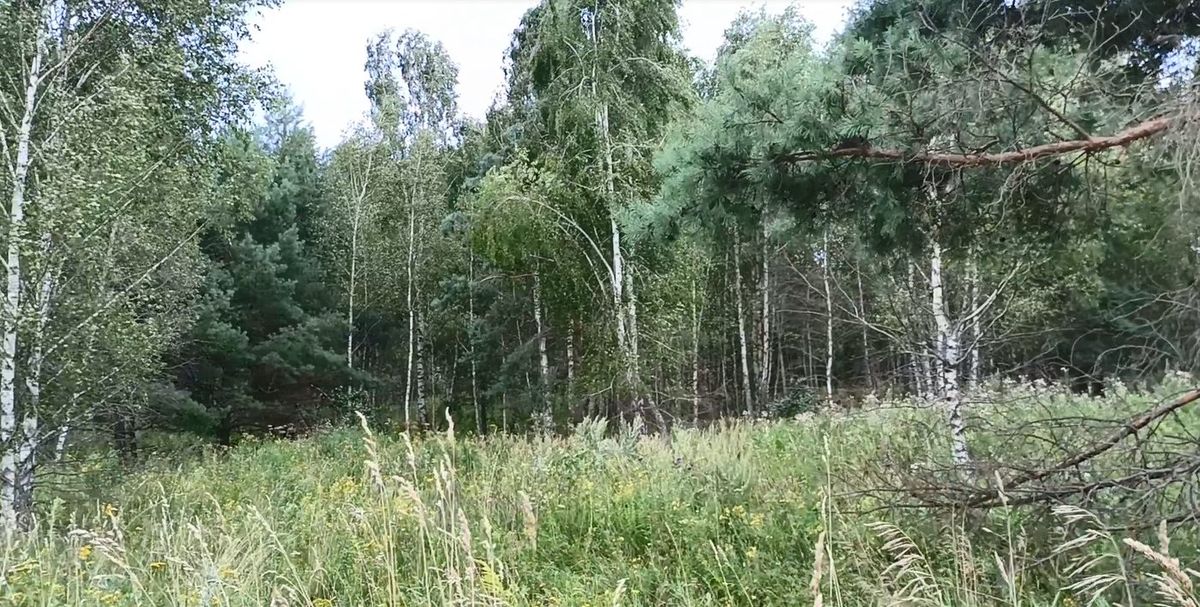 Аренда участка 16,42 сот. под ИЖС — Московская область