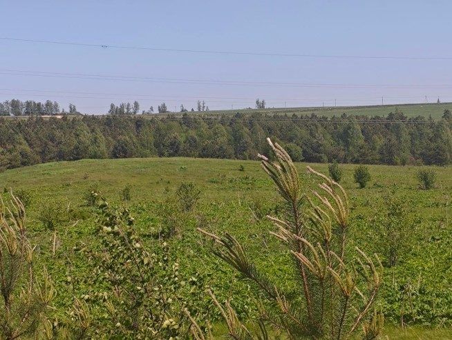Продажа участка 10 сот. под ИЖС — Московская область (0050419:813)