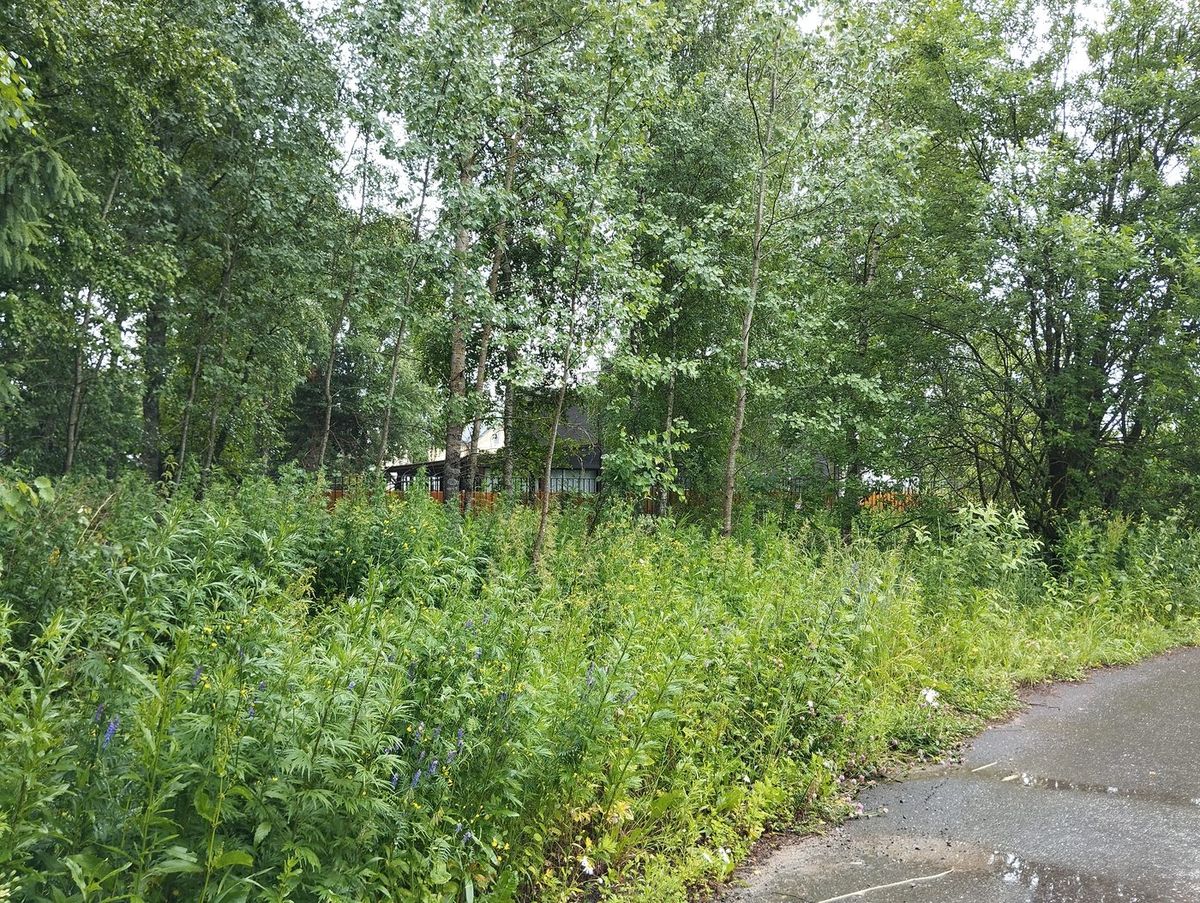Продажа участка 8,24 сот. под ИЖС — Московская область