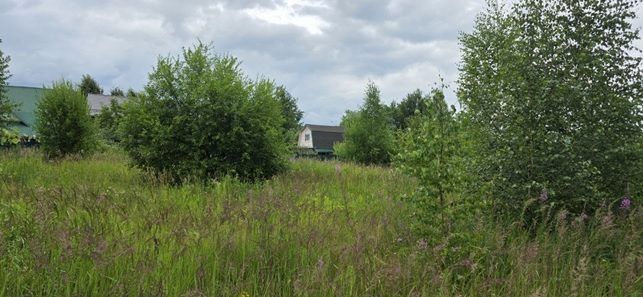 Продажа участка 17,02 сот. под ЛПХ — Московская область