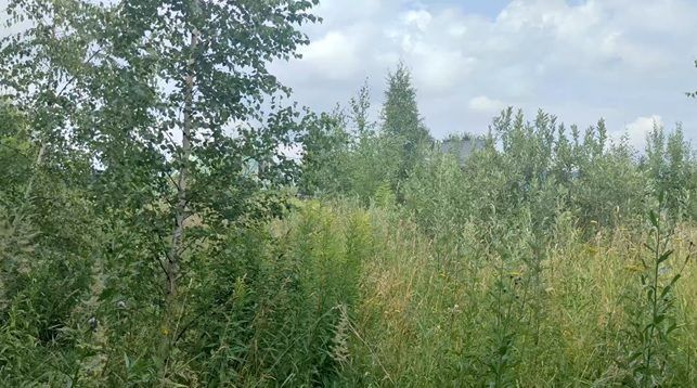 Продажа участка 17,31 сот. под ЛПХ — Московская область