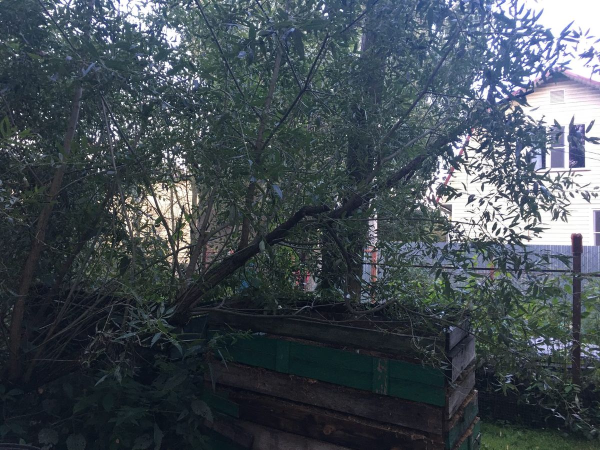 Аренда участка 10 сот. под ИЖС — Московская область, лот 1